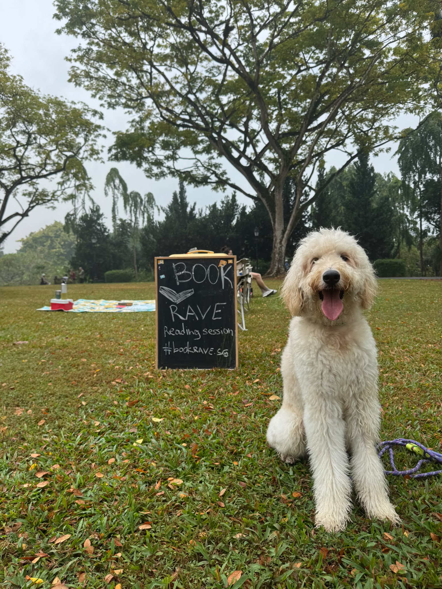 Ravi the dog sitting beside the hand-drawn Book Rave sign